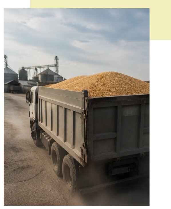 Перевозка сельхозпродукции навалом в Удомлю по цене от 3117 р. | Агросервис-Дмл